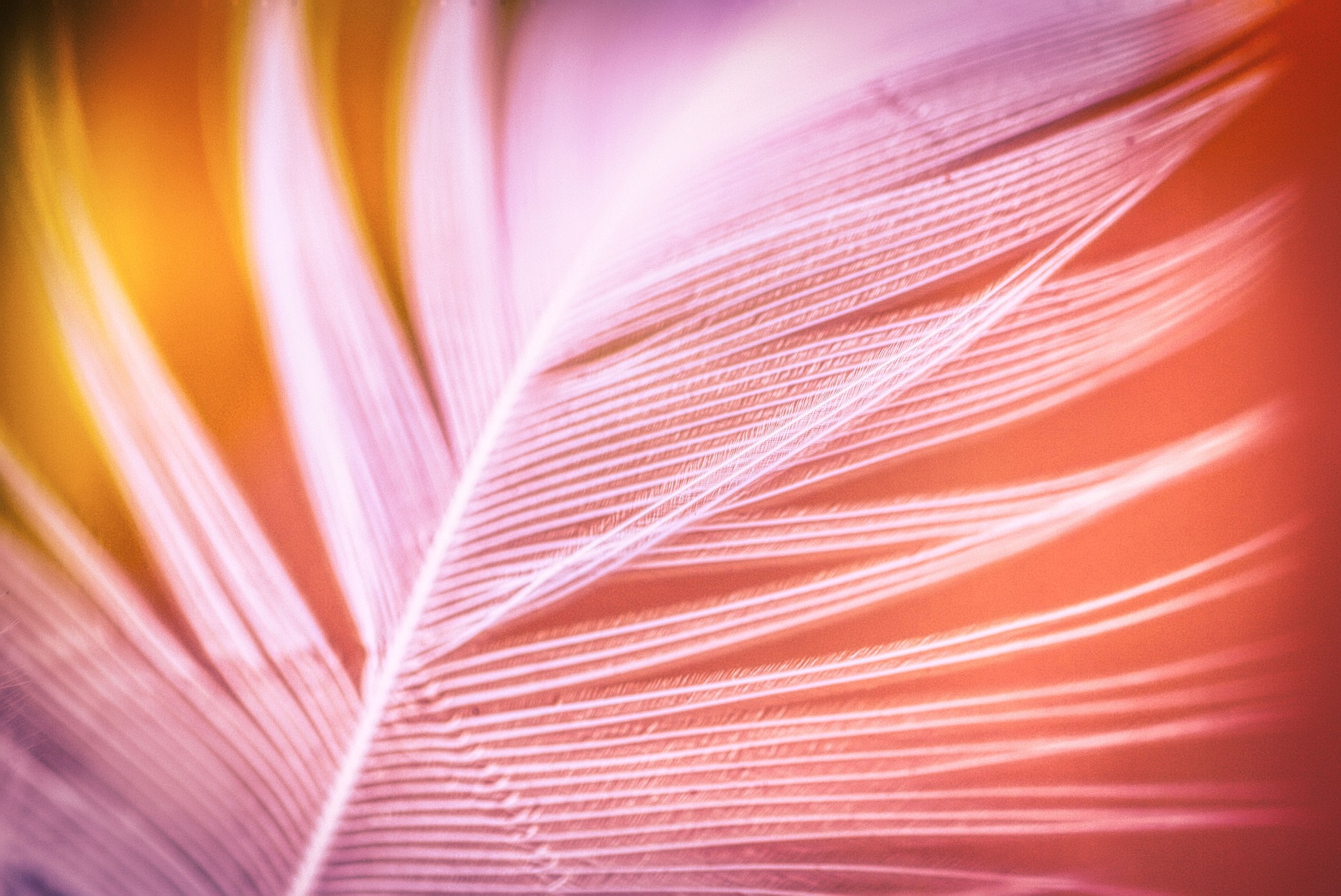 Kontemplasjon: Slutten på indre konflikt